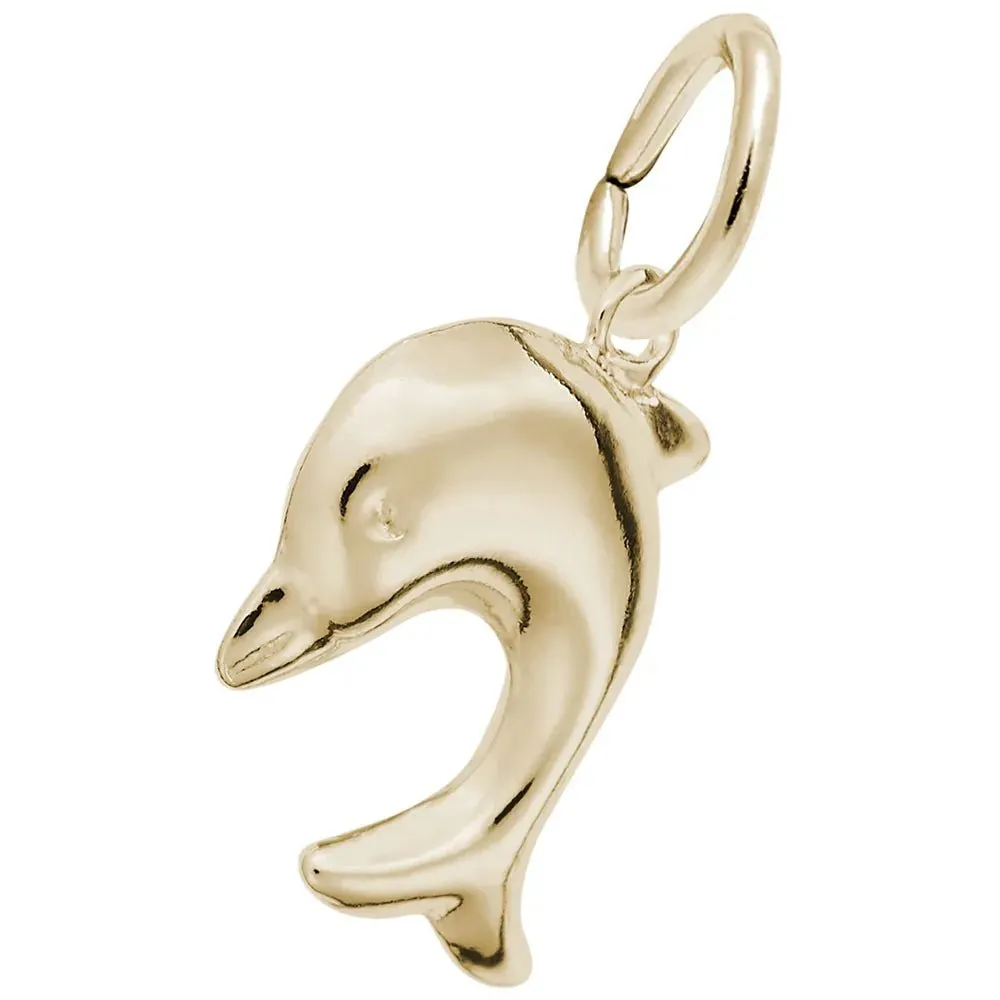 Rembrandt Charms - Diving Dolphin Charm - 2295