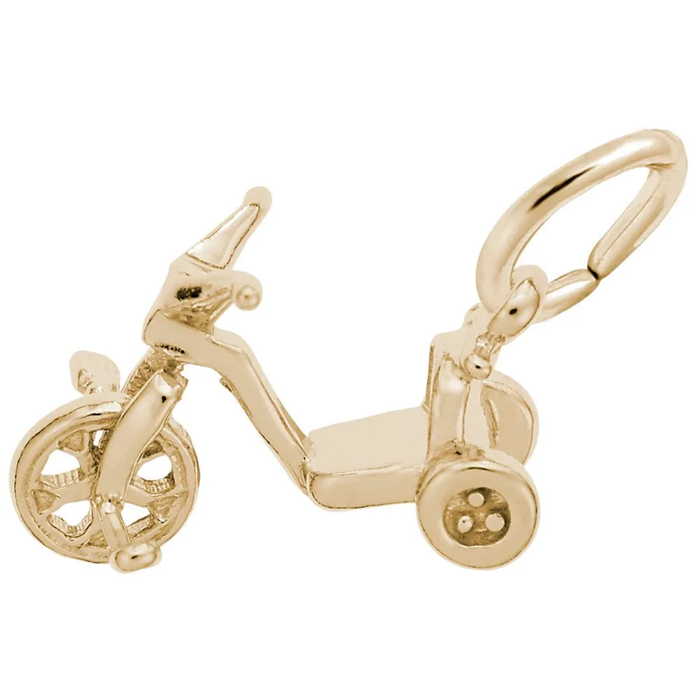 Rembrandt Charms - Tricycle Charm - 8294