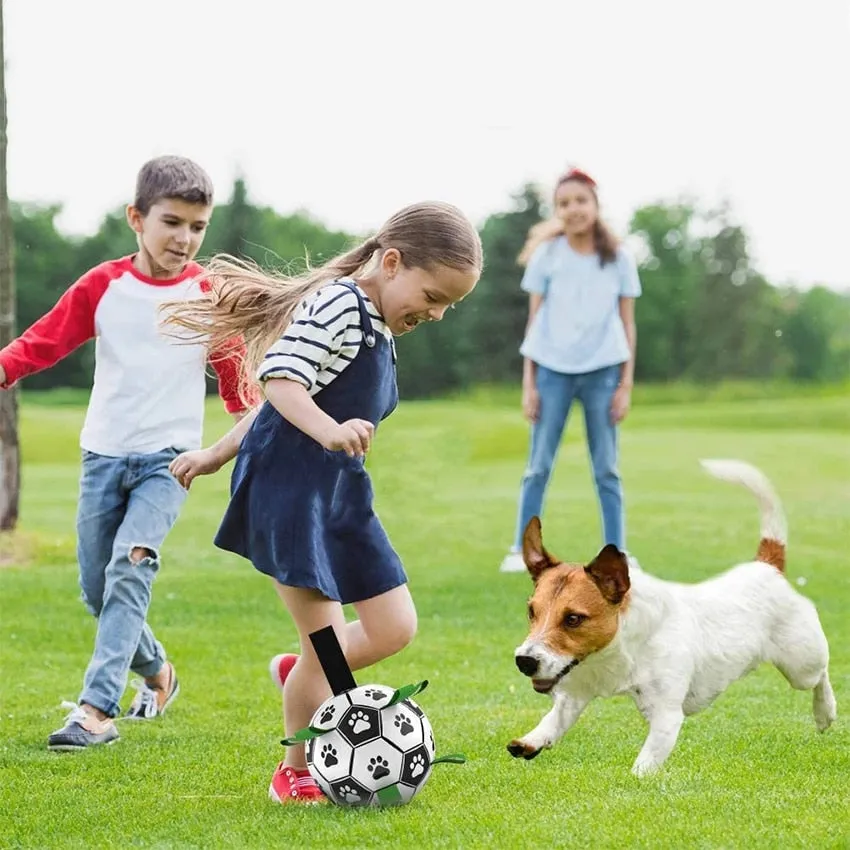 Soccer Grab Ball