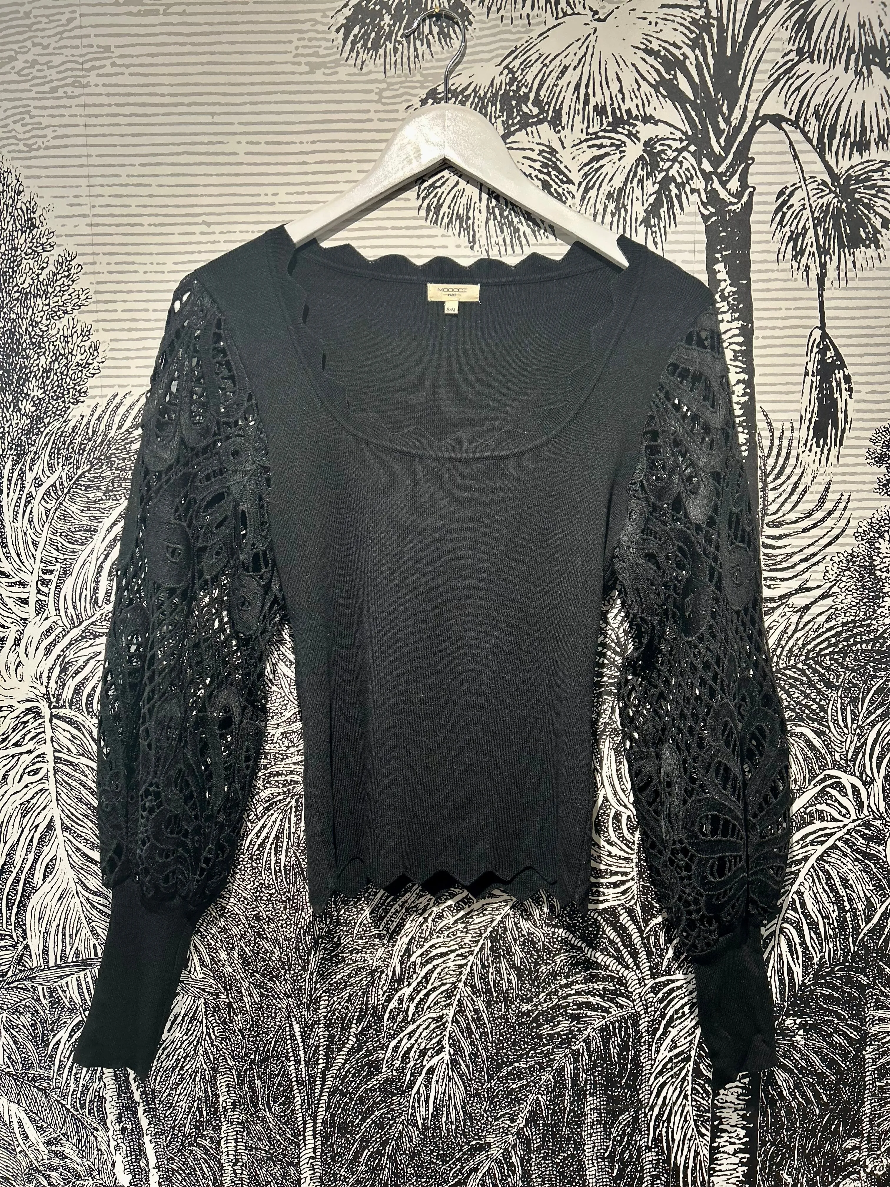 Suri Sharp Scallop Lace Sleeve Fine Knit Top