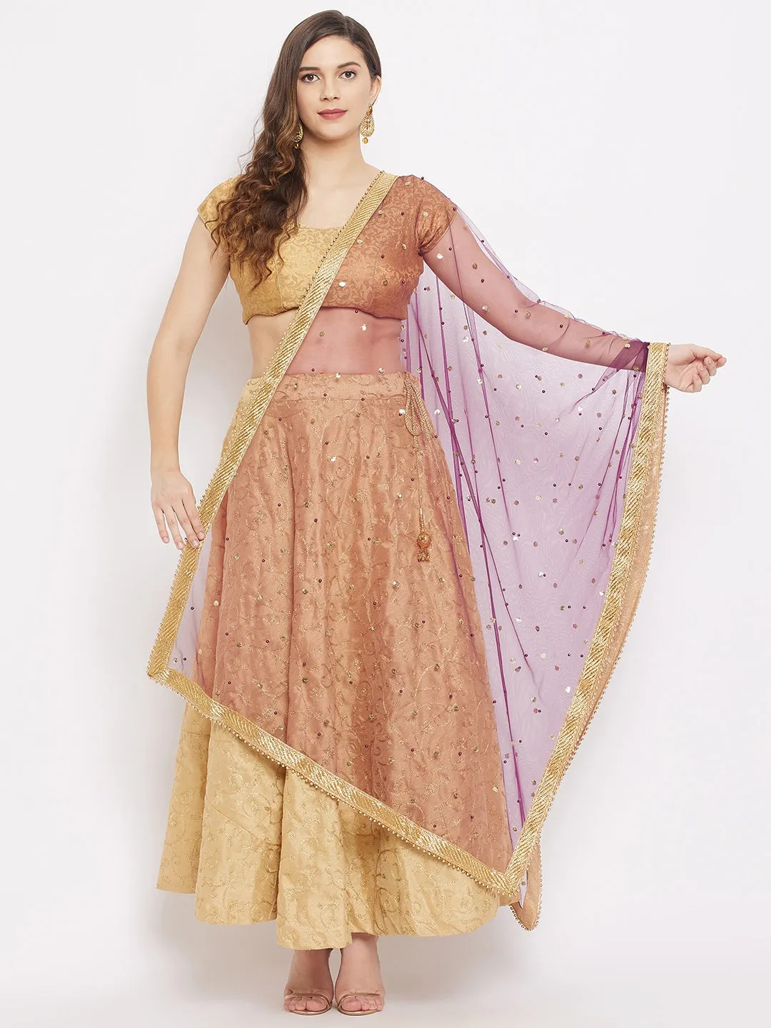 Women Wine Embellished Net Dupatta